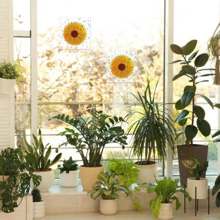 Klebefallen für das Fenster, Insektenkleber, Blumenform, 3er-Set.