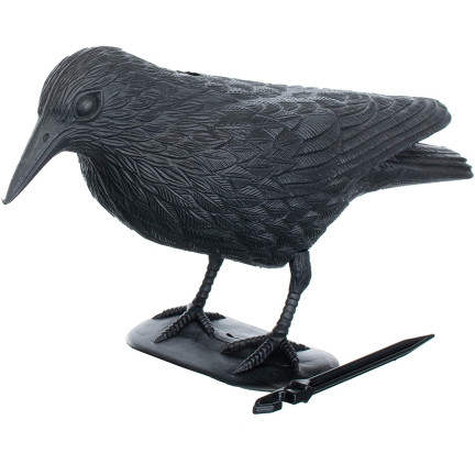 AP8 GROSSE KRÄHE VOGEL ABSCHRECKUNG TAUBEN STARE