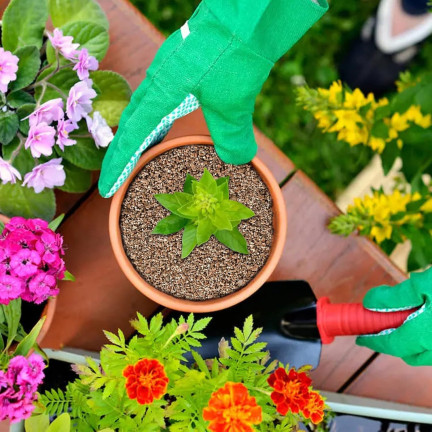 Vermiculit für den Garten, Bodenzusatz, Bodenlockerung, Biovita, 4 l, 1–5 mm