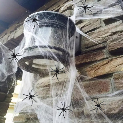 TG38901 PAJAKEN MIT PAJAKEN-NETZWERK FÜR HALLOWEEN PAJAKEN 2 St.