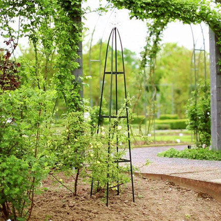 PERG-N0293 GARTEN PERGOLA PYRAMIDE ROSE STÜTZE METALL PFAHL