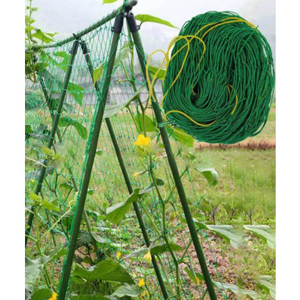 TG71982 WACHSENDE PFLANZENSTÜTZE MIT NETZWERK 120x80CM GARTENRACK-NETZWERK