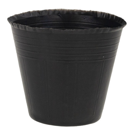 TG67369 SETZLINGSTÖPFE RUND 9CM 100STK