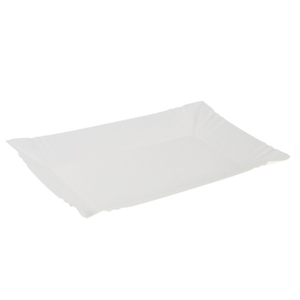 ARP8000 KPL 20PCS. PICNIC-PAPIER-TISCHE FÜR GRILL-PICNIC 20x13,5 CM