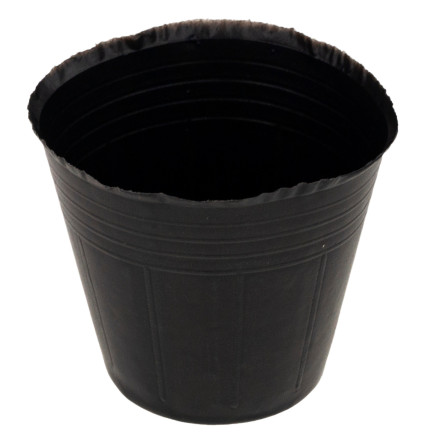 TG67369 SETZLINGSTÖPFE RUND 9CM 100STK