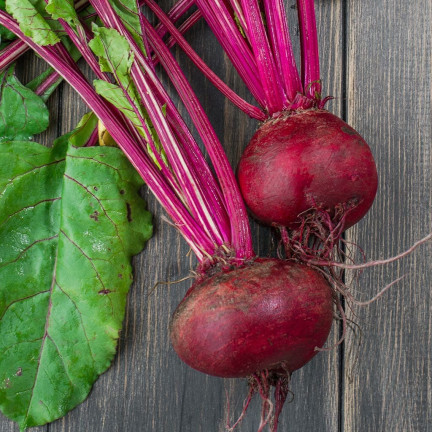 W0012 ROTE BETE KUGEL 2 10G ROTE BETE SAMEN