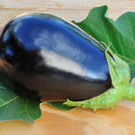 W1003 AUBERGINE SAMEN SCHWARZE SCHÖNHEIT LILA BIRNE DER LIEBE 1G