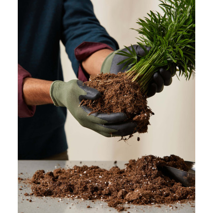 BIO15 BIO-UNIVERSALERDE FÜR BLUMEN PFLANZEN 10L MIT DÜNGER