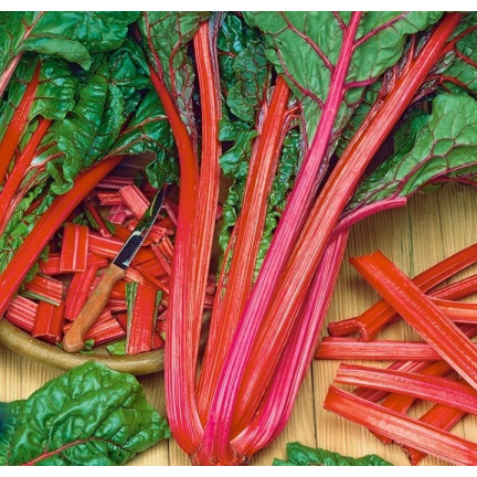 W1017 LEAFY BEET saftig fleischig wie Spinat mit Spargel RHUBARB CHARD 5G