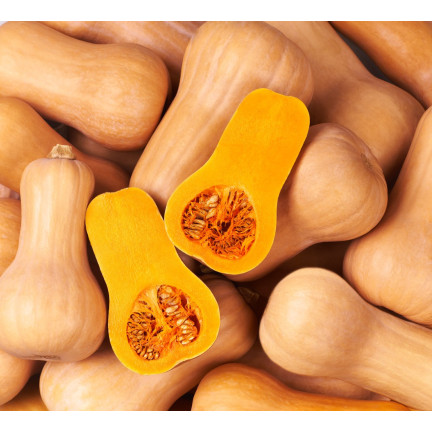 Z3036 Kürbiskerne BUTTERNUSS-GEMÜSE-SAMEN GETRÄNKE