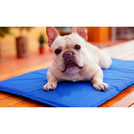 TG64478 COOLING MATA FOR DOG LARGE 90x50 CM Hundebett