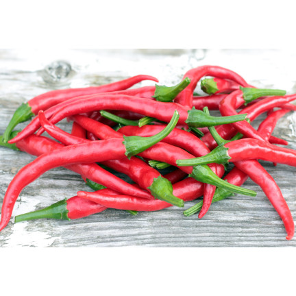 W1137 DE CAYENNE HOT CHILLI PFEFFERSAMEN WÜRZIG 0,5G