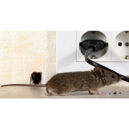 SUM61 SUMIN MÜSLISCHACHTEL RODENTIZID GIFT FÜR MÄUSE 500G (4X125G)