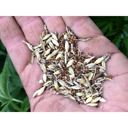 R2178 Saatgut für Zwischenfrüchte – Frühjahrsmischung, 1000 g