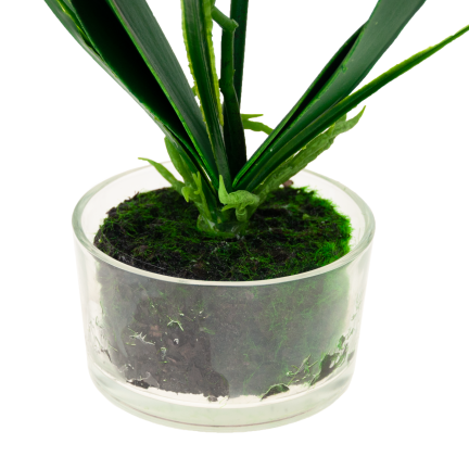 CV05030-1 ORCHIDEE IM TOPF WEISS GUMMIERT ZWEISTÄMMIG GROSS