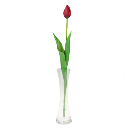 CV07588-10 EINZELN GUMMIERTE TULPE ROT WIE LIVE