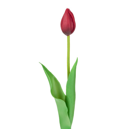 CV07588-10 EINZELN GUMMIERTE TULPE ROT WIE LIVE