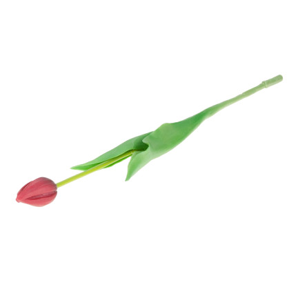 CV07588-10 EINZELN GUMMIERTE TULPE ROT WIE LIVE