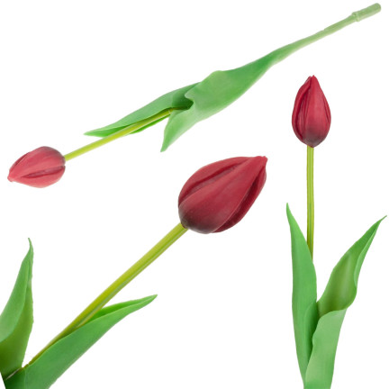 CV07588-10 EINZELN GUMMIERTE TULPE ROT WIE LIVE