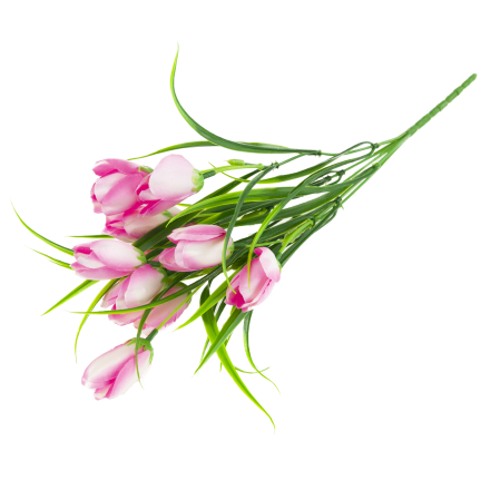 CV07855-2 STRAUSS TULPEN 9 KÖPFE MIT GRAS ROSA