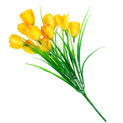 CV07855-5 TULPEN GELBE BLUMEN IM STRAUSS TULIP DEKORATION