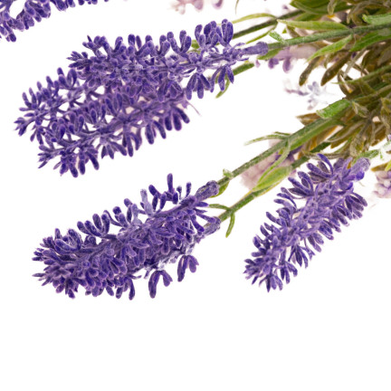 CV08596 Lavendel, Lavendelzweige, Strauß, Kunstblumen