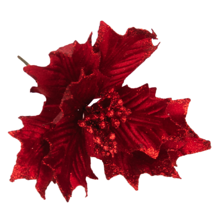 CV09145-3 STERN VON BETLEHEM AUF FEDER POINSETTIA UMGEDREHT BROKAT DEKORATIV FÜR EIN SCHILF
