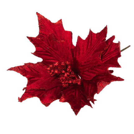 CV09145-3 STERN VON BETLEHEM AUF FEDER POINSETTIA UMGEDREHT BROKAT DEKORATIV FÜR EIN SCHILF