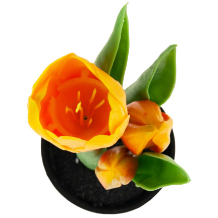 CV10553-4 TULPEN GUMMIERTE BLUMEN ALS LIVE PREMIUM IM TOPF ORANGE