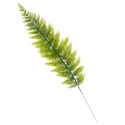 CV11682 LEBENDE KÜNSTLICHE PAPROTA NANDLE SILIKONBLÄTTER AUF PIK 50 cm