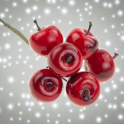 CV12367 ÄPFEL AUF EINEM DRAHT KÜNSTLICHE FRÜCHTE AUF EINEM PICK WEIHNACHTSBAUM DEKORATIONEN