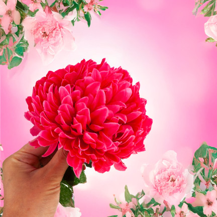 CV14384-13 CHRISTOPHER SPRING 70cm KÜNSTLICHE BLUMEN FÜR STROIT GROSSE BLUME 13cm FÜR GRABEN rot