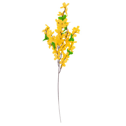 CV14393 YELLOW GASKLE FORSYCLE YELLOW GASKLE FORSYCLE ON GASKLE LEAF schilf
