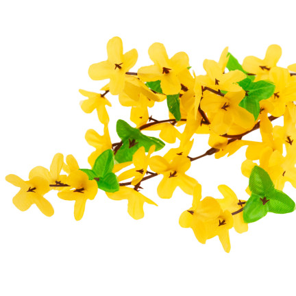 CV14393 YELLOW GASKLE FORSYCLE YELLOW GASKLE FORSYCLE ON GASKLE LEAF schilf