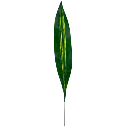 CV15772 DRACENA, DRACENA LEAF GREEN PICTURE FLOWERS 60cm Rohrsäbel