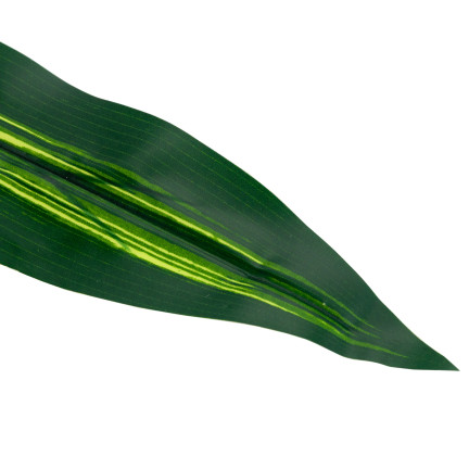 CV15772 DRACENA, DRACENA LEAF GREEN PICTURE FLOWERS 60cm Rohrsäbel