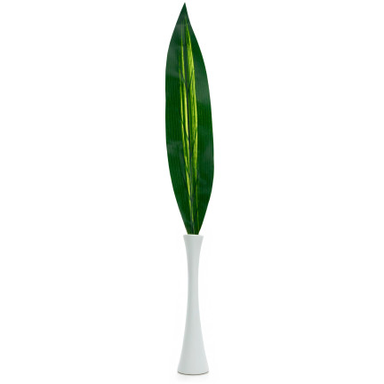 CV15772 DRACENA, DRACENA LEAF GREEN PICTURE FLOWERS 60cm Rohrsäbel