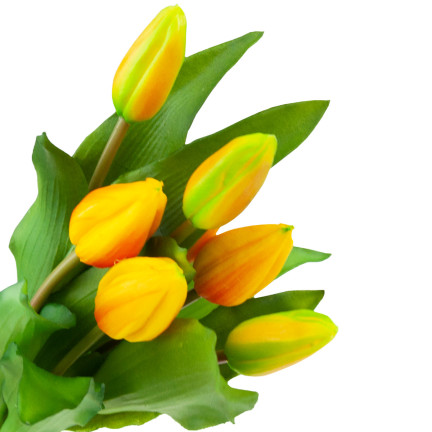 CV18674-8 TULIPS BUNCH Gummierter Gummi als lebendes Silikon ORANGE