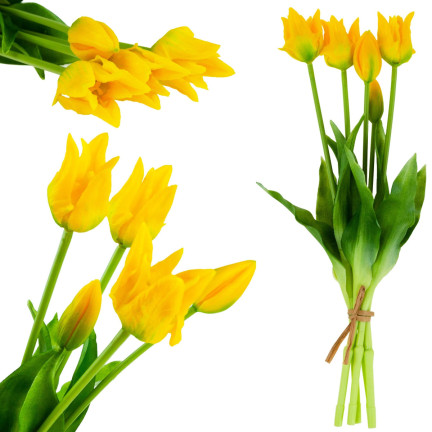 CV17691-3 TULIP BOUQUET GUMMIERT 5PC ALS LIVE