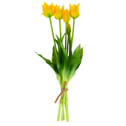 CV17691-3 TULIP BOUQUET GUMMIERT 5PC ALS LIVE