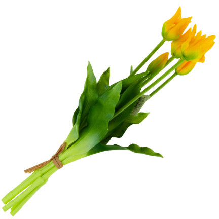 CV17691-3 TULIP BOUQUET GUMMIERT 5PC ALS LIVE