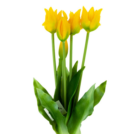 CV17691-3 TULIP BOUQUET GUMMIERT 5PC ALS LIVE