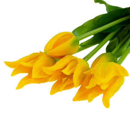 CV17691-3 TULIP BOUQUET GUMMIERT 5PC ALS LIVE