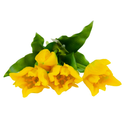 CV17691-3 TULIP BOUQUET GUMMIERT 5PC ALS LIVE