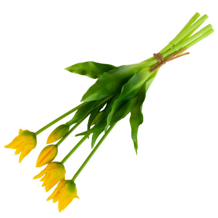 CV17691-3 TULIP BOUQUET GUMMIERT 5PC ALS LIVE
