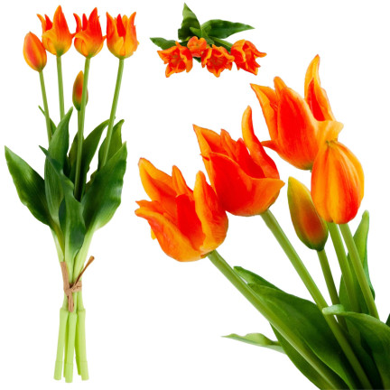 CV17691-4 TULPE TULPE PAPAGEI BOUQUET GUMMIERT ALS LEBENDE ORANGE