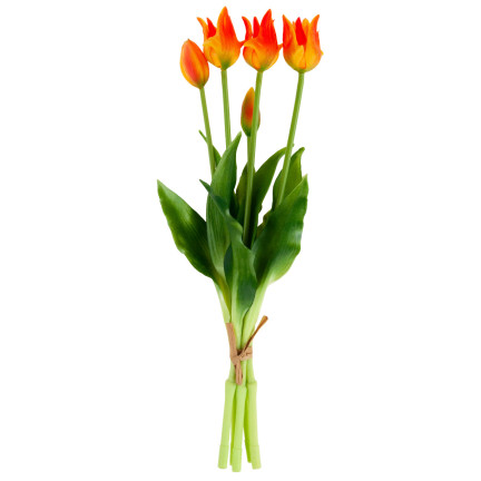 CV17691-4 TULPE TULPE PAPAGEI BOUQUET GUMMIERT ALS LEBENDE ORANGE
