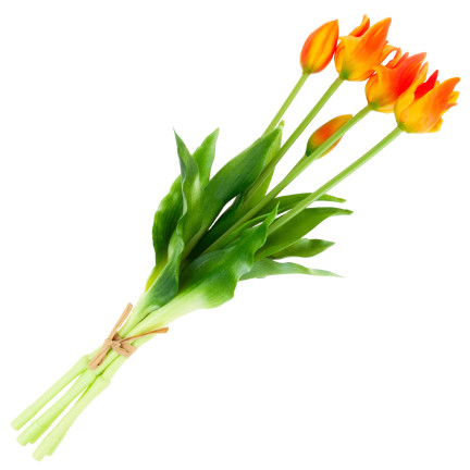 CV17691-4 TULPE TULPE PAPAGEI BOUQUET GUMMIERT ALS LEBENDE ORANGE