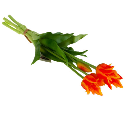 CV17691-4 TULPE TULPE PAPAGEI BOUQUET GUMMIERT ALS LEBENDE ORANGE