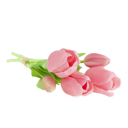 CV17692-8 TULIPAN GUMMED BUNCH X5 rosa